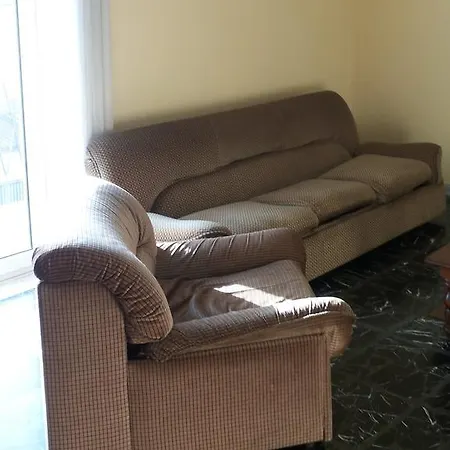 Carpino