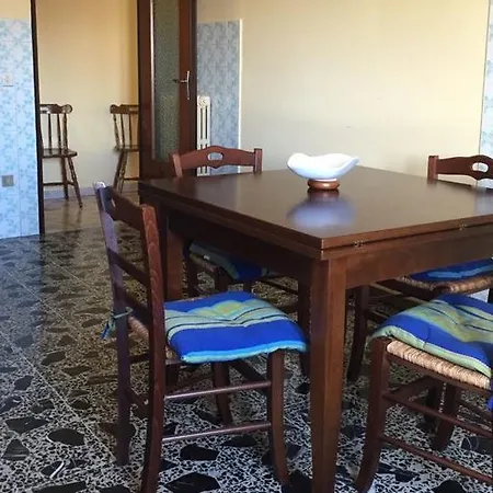 Carpino *